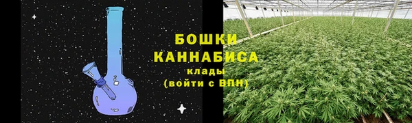 СК Балахна