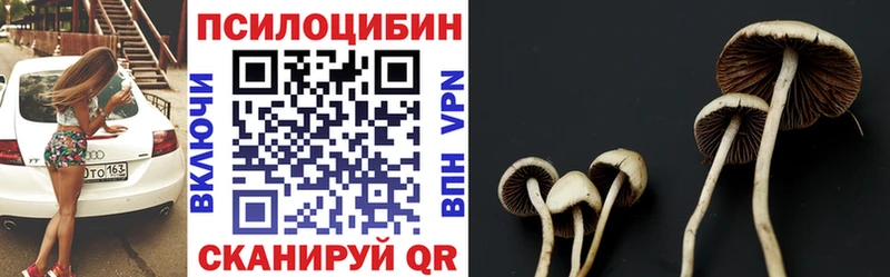 купить наркоту Воркута Галлюциногенные грибы прущие грибы