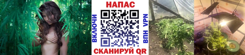 Каннабис White Widow Воркута